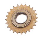 multi speed freewheel